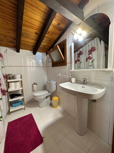 toilet_2